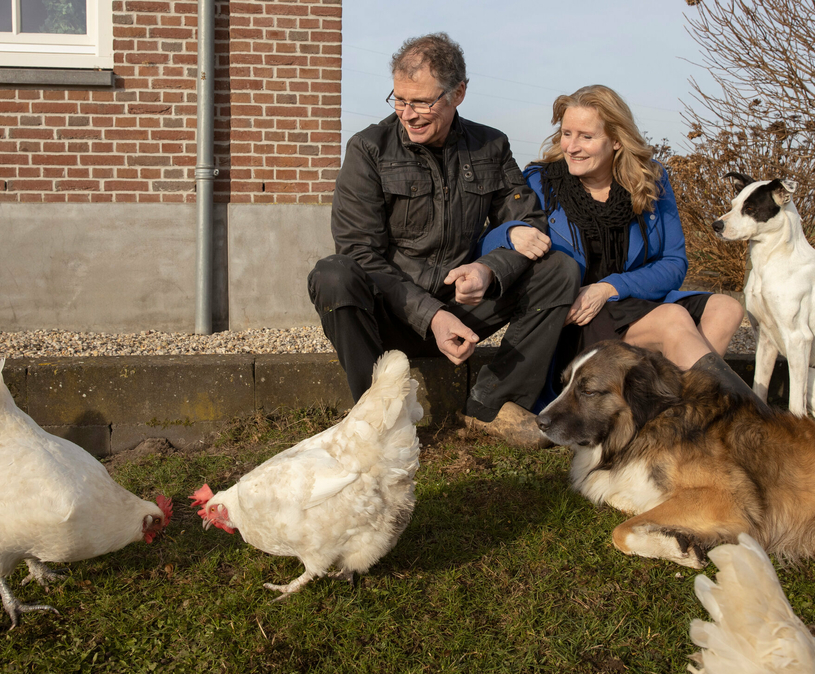 Vakantiepleegzorg boerderij